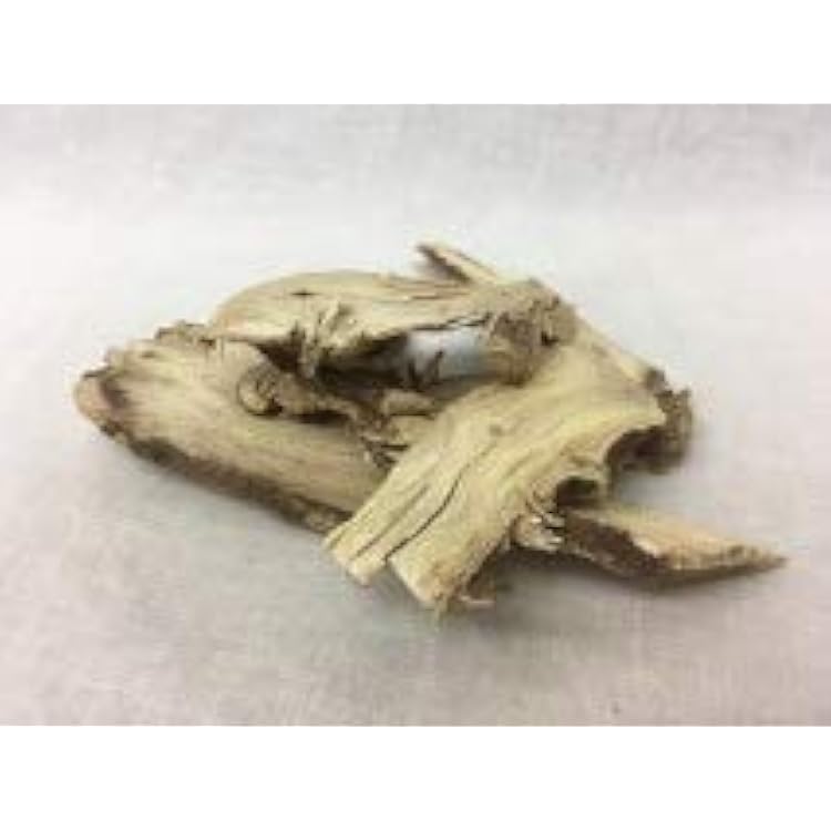 Manyprickle Acanto-Panax Root|Ci Wu Jia Pian|| Acanthopanax senticosus Rupr. Maxim. Harms Sliced