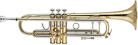 Bach 190 Stradivarius Professional Bb Trumpet - Lacquer with 43 Bell