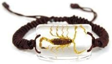 REALBUG Gold Scorpion Bracelet, Clear 10 inches
