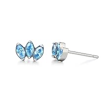 Limerencia Hypoallergenic G23 Pure Titanium Earrings | Crown Cubic Zirconia | F136 Implant Grade Piercing Studs| Suitable for Sensitive Ears Delicate Jewelry