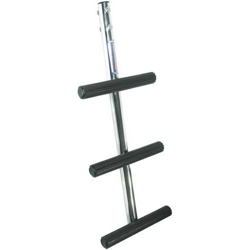 DL-3X Diver 3 Step Ss Ladder