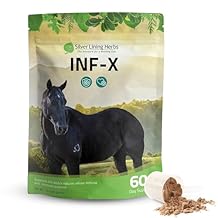Silver Lining Herbs INF-X Horse Immune Support Powder Herbal Equine Immune Supplement for Cellular Health, Natural Defense & Stress Support 1 lb