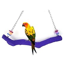 Bird Parrot Swing Perch Cage Hanging Toy Scrub Wood Stand for Conures,Parakeets Cockatiels,Macaws,Finches,Love Birds (M-9.8" in)