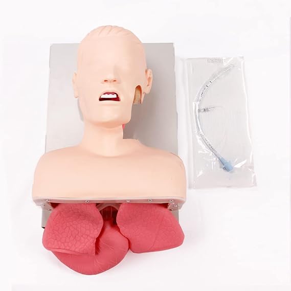 Teaching Model Tools,Adult Electronic Tracheal Intubation Teaching Model Tooth Pressure Alarm Human First Aid Training Model Advanced Human Endotracheal Intubation Training Model F