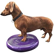 DEZAL Dog Balance Disc Cushion 14" - With 2 Exercises and Pump - Dog rehab Exercise Strength Endurance Conditioning Fitness Flexibility Rehabilitation Physical Training Tool for Senior Dogs