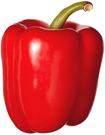 Pepper Sweet Big Red Great Heirloom Vegetable By Seed Kingdom 50 Seeds