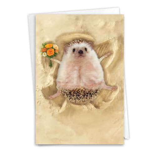 NobleWorks Funny Get Well Greeting Card with 5 x 7 Inch Envelope 1 Card Sand Angels - Hedgehog C6844CGWG