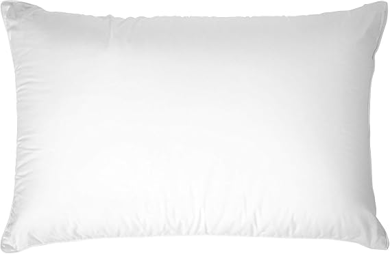Down Dreams Classic Pillow Jumbo Soft Doubletree by Hilton Hotels Set of 2 with BBH Pillow Protectors