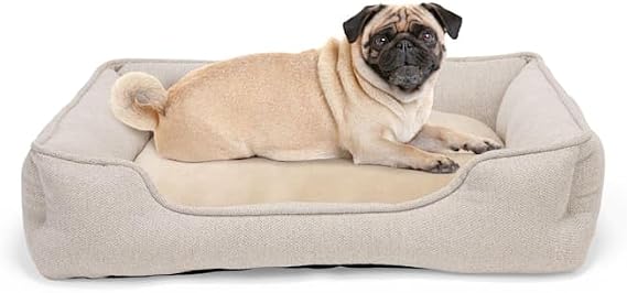 Petco Taupe Bolster Box Dog Bed, X-Large, 44" L x 34" W x 8" H