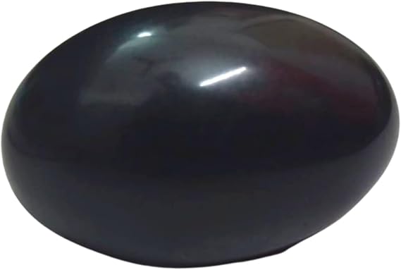 India Rare Shaligram Stone Hindu Pooja Shivlingam Shiva Shivling Small Pocket Size 2" inch Natural Pure and Original Shaligram from Gandaki River Saligramam Shila Lakshmi Narayan Chakra Sacred