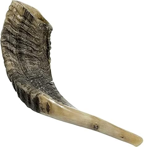 Traditional Shofar from Israel, Jewish Natural Musical Instrument, Clear Sounding Authentic Horn Shofar, Beautiful Sounding Shofar, Natural Ram Horn Shofar (14"-16")