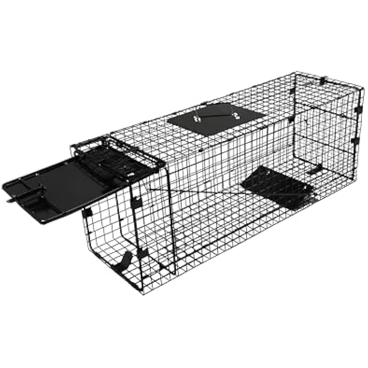 32 Folding Humane Animal TrapLive Animal Cage Trap, Raccoon Traps, Humane Cat Trap for Stray Cats, Raccoons, Squirrel, Skunk, Mole, Groundhog, Armadillo, Rabbit, Catch and Release 32x10x12