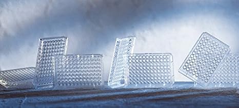 762070 Microlon 200 96 Well F8 Plate, Medium Binding, 1x8 Flat Bottom Strips, Color: Clear, PS (Pack of 100)