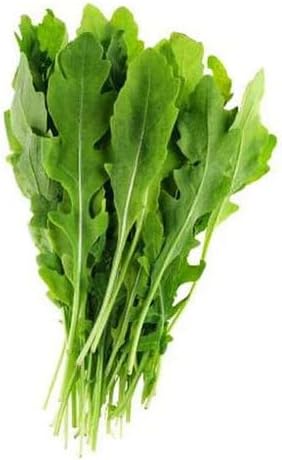 100pcs Arugula Vegetable Seeds