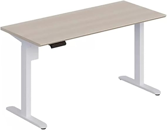 desk, electric standing desk, height adjustable standing desk, home office computer desk, ergonomic home office computer workstation, for home office