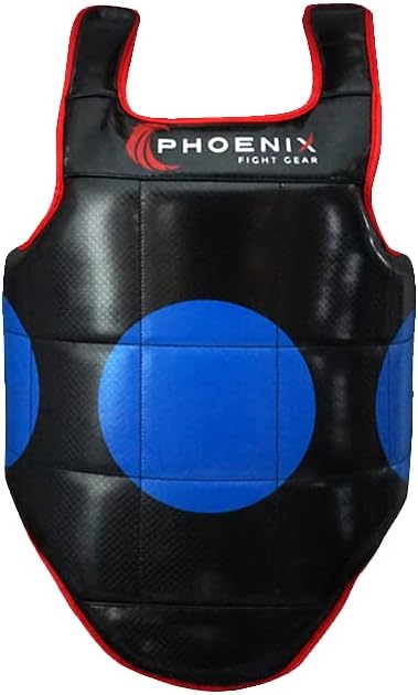 Kids Champion Reversible Chest Protector Gear for Boxing, Sparring. Karate, Muay Thai and Taekwondo, MMA Gear, Youth Body Shield Protective Gear, Martial Arts Training Equipment