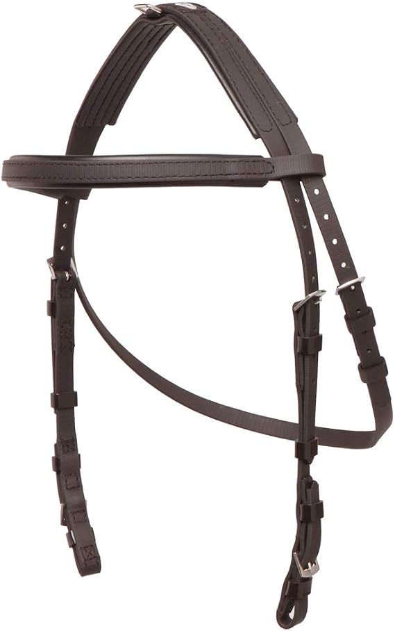 Hackamore Bridle