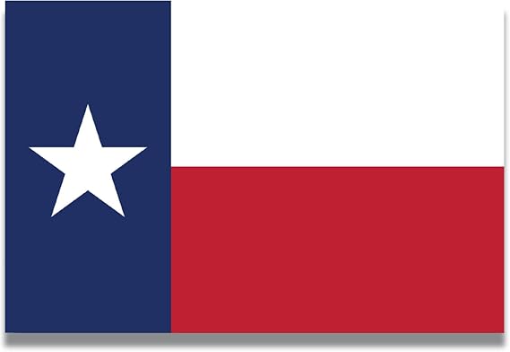 Texas US State Flag Car Magnet 4x6 Inch