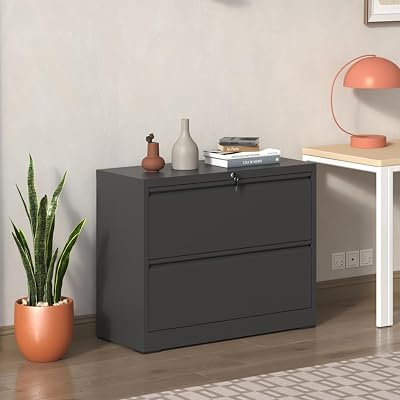 Lateral File Cabinet, Filing Cabinet with Lock, Lockable File Cabinet for Home Office, Locking Metal File Cabinet for LegalLetterA4F4 Size Black  Metal  2 Drawer