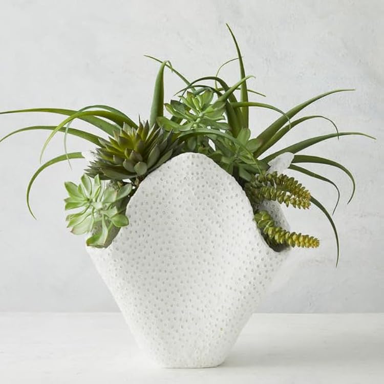 Z Gallerie Large White Scalloped Coral Vase - Home Decor for Living Room, Bookshelf, Desk, Living Room - 11.75 x 13.75