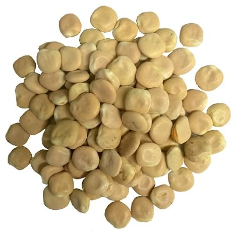 OliveNation Extra Large Dry Lupini Beans, High Protein Legume for Authentic Mediterranean Flavor, Non-GMO, Gluten Free, Kosher, Vegan - 16 ounces | Dried Extra-Large Beans for Antipasto, Snacking, Charcuterie, Sides - High Protein & Fiber, Perfect for Mediterranean Diet