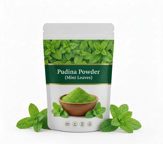 Mint Powder | 100% Pure & Natural Mint Leaves Powder | Ideal for Cooking, Chutneys| 100g