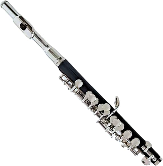 Deloitte Piccolo C Key, Nickel Plated, DPC-110, for Beginner Student Piccolo Instrument, Carrying Case