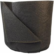 Smart Pots Soft-Sided Transplanter Plant Container, 1-Gallon, Black