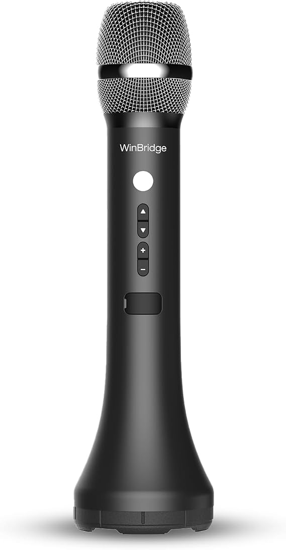 Bluetooth Microphone Wireless Voice Amplifier With 3 Sound Effects H9