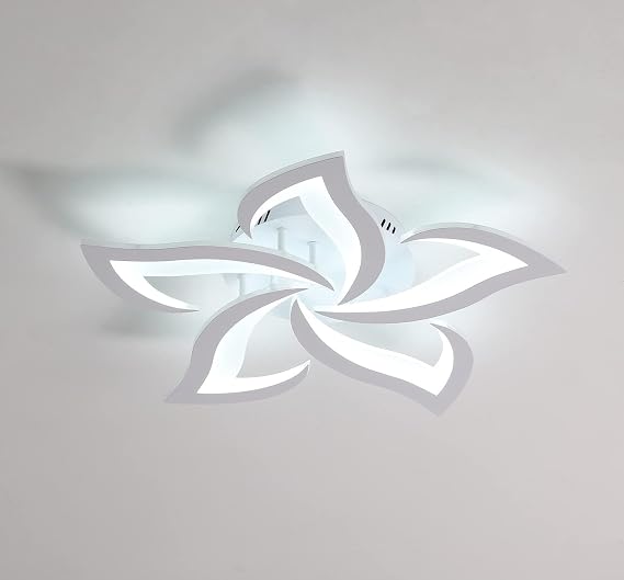 DELIPOP LED Ceiling Light Fixture, 6500K Modern LED Flush Mount Ceiling Lights, 23.6 inch Acrylic Ceiling Lamp for Living Room Dinning Room Kitchen Bedroom Ceiling Light Fixtures Ceiling Mount