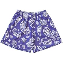 Men's Mesh Basketball Shorts Paisley Bandana Print Loose Fit Retro Streetwear Quick Dry Athletic Shorts