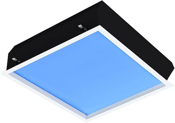 LED Smart Blue Sky Lamp, Simulate A Sunlight Irradiation, Natural Light Skylight, Embedded Blue Sky Ceiling Lamp, Adjustable Color Temperature 2200-8500K for Bathroom Hallway,30 * 30cm