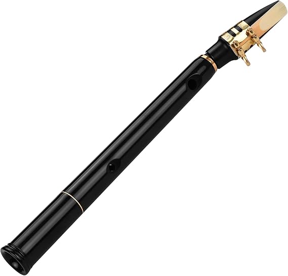C Key Mini Pocket Saxophone Sax ABS Material with Mouthpieces 10pcs Reeds Carrying Bag Woodwind Instrument