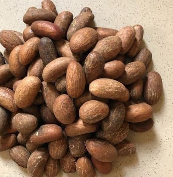 African Bitter Kola Nuts, Bitter Kola Retro Garcinia, Petit Cola Nut, Obi Abata Cola Nut (8oz)