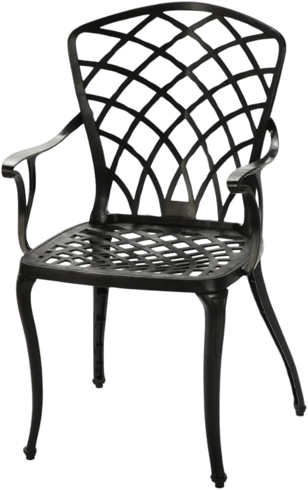 CERITTI Wrought Iron Look Black Chair, 150 KG Carrying Capacity Plastic Chair with 2 Years Warranty Available in Garden, Balcony and Outdoor (Hittite Chair Single, Standard)