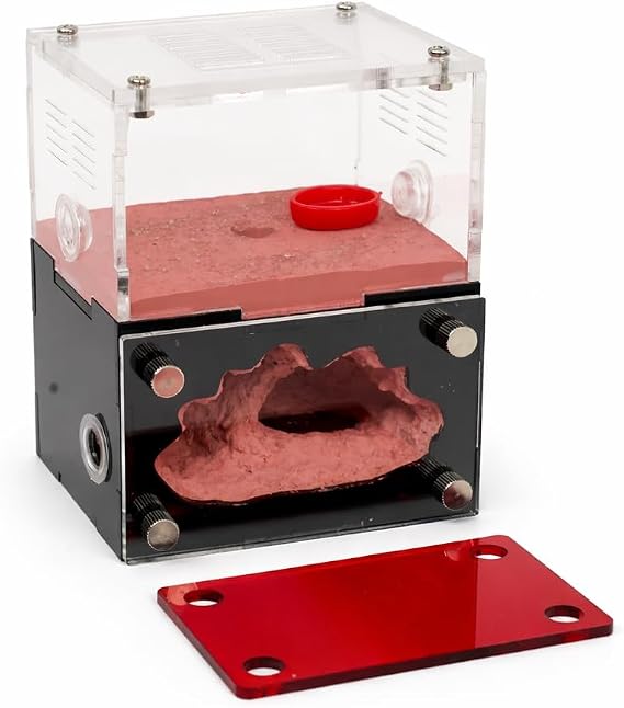 Formicarium Ant Farm Habitat Kit for Behavior Observation, Educational Terrarium for Adults and Kids