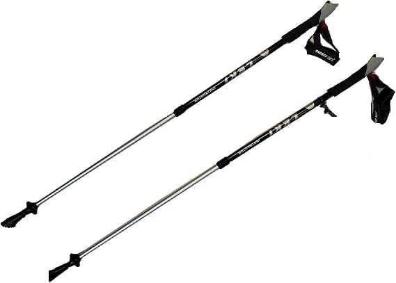 LEKI Nordic Walking Instructor Trekking Pole