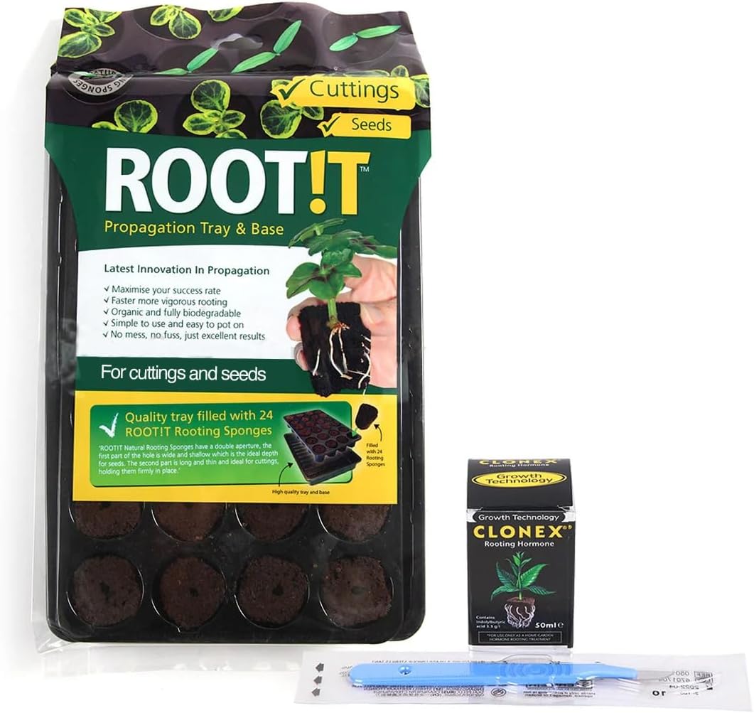 Cutting Taking Essentials – Root-!t Rooting Plugs (Tray of 24) + Clonex Rooting Gel 50ml + Sterile Scalpel – Propagation Kit for Plant Cuttings & Clones