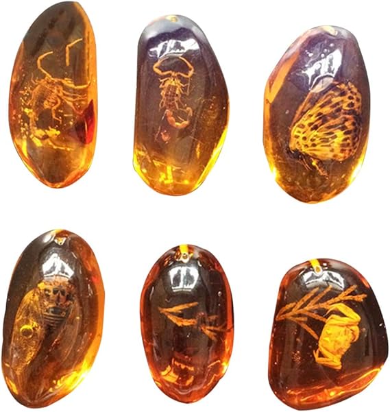 VORCOOL 5pcs Amber with Insects Samples Stones Crystal Specimens Home Decorations Collection Oval Pendant (Random Pattern)