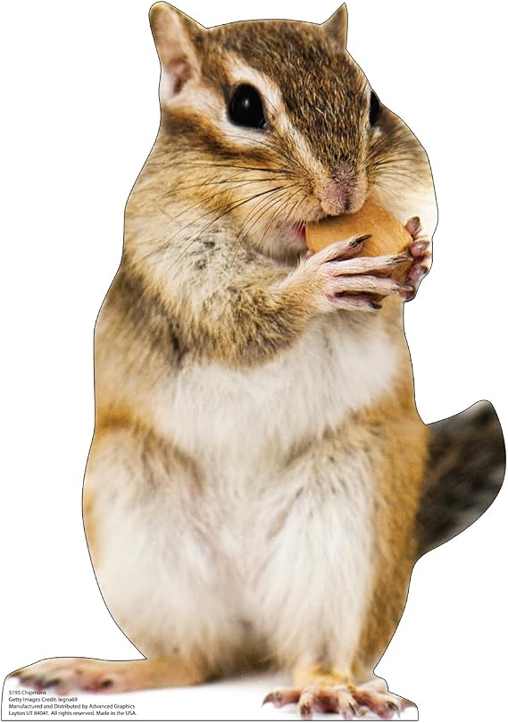 Cardboard People Chipmunk Cardboard Cutout