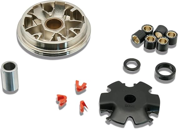 Malossi 5111852 Variator (Performance) Ruckus