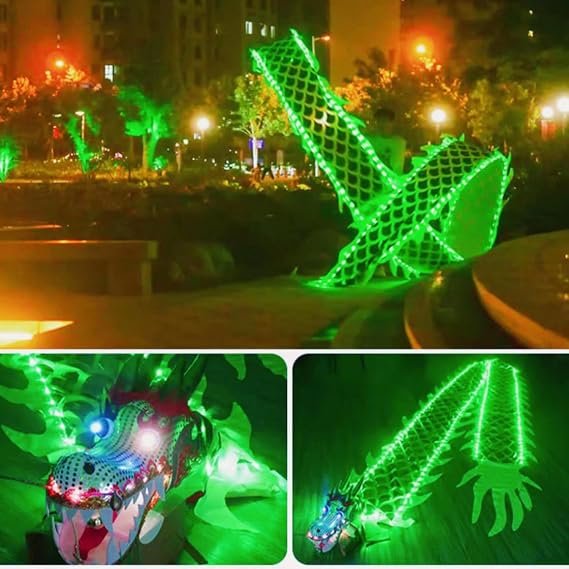 DSJUGGLING Light Up Dragon Poi with 3D Dragon Head and LED, Lightweight Dance Ribbon Streamer Stage Prop Set for Beginners (Green LED, 9.8 FT)