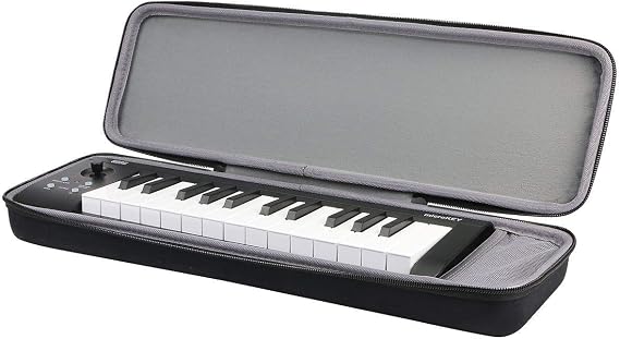 Aenllosi Storage Case Compatible for KORG MicroKEY2 Air DTM/25 MIDI Keyboard, Black