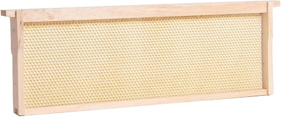 Stoney Acres Beekeeping Beehive Frame, Waxed Plastic Foundation, Medium Assembled, Honey Bee Hive, Amish Made