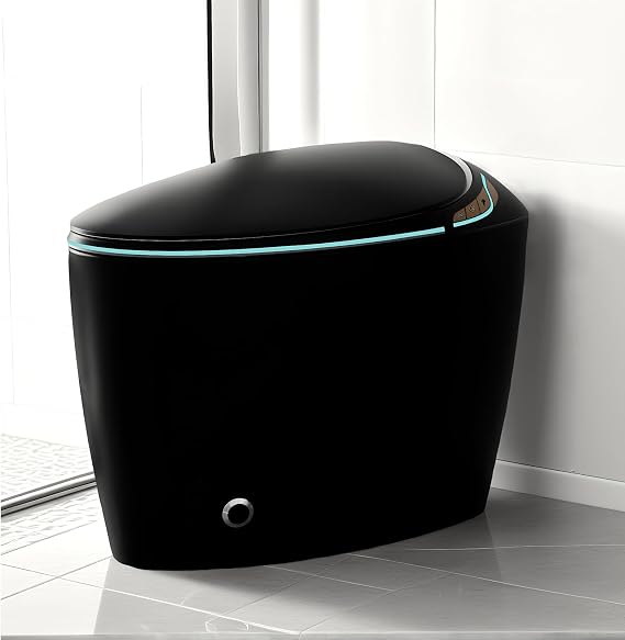 WinZo Bidet Toilet 10" Rough-in,Smart Toilet With Bidet,Oval Egg Modern Shaped, Auto Open/Flush, Adjusted Heated Seat, Warm Water and Dryer, Night Light, Matte Black