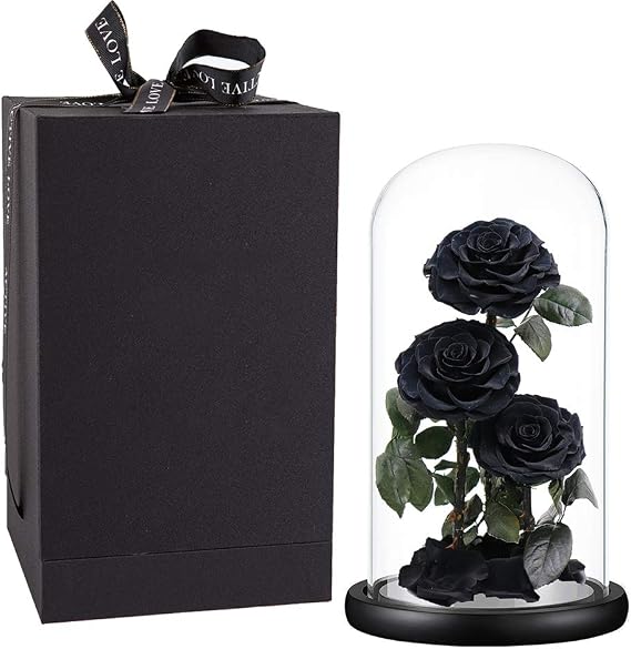 Preserved Roses Handmade Preserved Flowers Glass Dome, Black Rose Never Wither, Birthday Gifts for Her 13 Inches