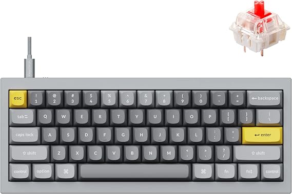 Keychron Q4 Wired Custom Mechanical Keyboard, QMK/VIA Programmable Macro, Full Aluminum, Hot-Swappable Gateron G Pro Red Switch, 60% Layout Double Gasket Compatible with Mac and Windows - Gray