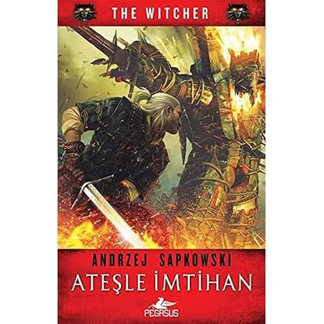 The Test with Fire - The Witcher Series 5