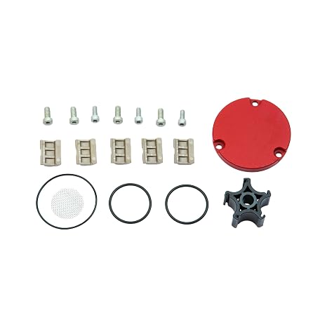 Fill-Rite KIT812RG RD8 Series DC Fuel Pump Rebuild Kit Rotor, Vanes, Gaskets & Screws Replacement for Portable Fuel Transfer Pumps