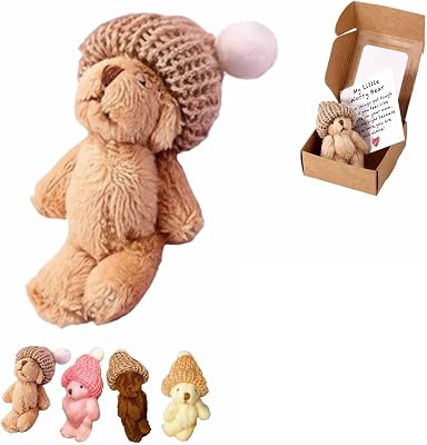 Handmade Mini Plush Teddy Bear in Box, Little Bear in A Box, My Little Worry Bears, Mini Pocket Bears Hug Plush with Emotional Uplifting Support Card, Soft Handmade Teddy Keepsake for LoversGray